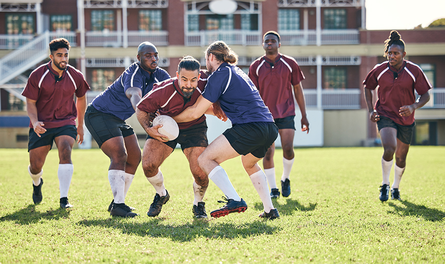 Cover image for USIP Rules and Regulations